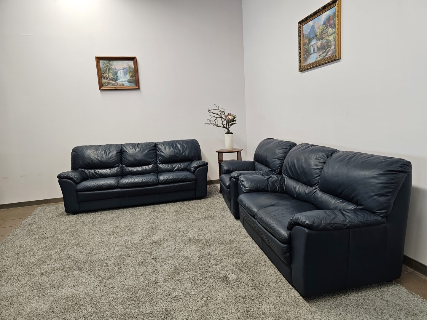 Natūralios odos komplektas