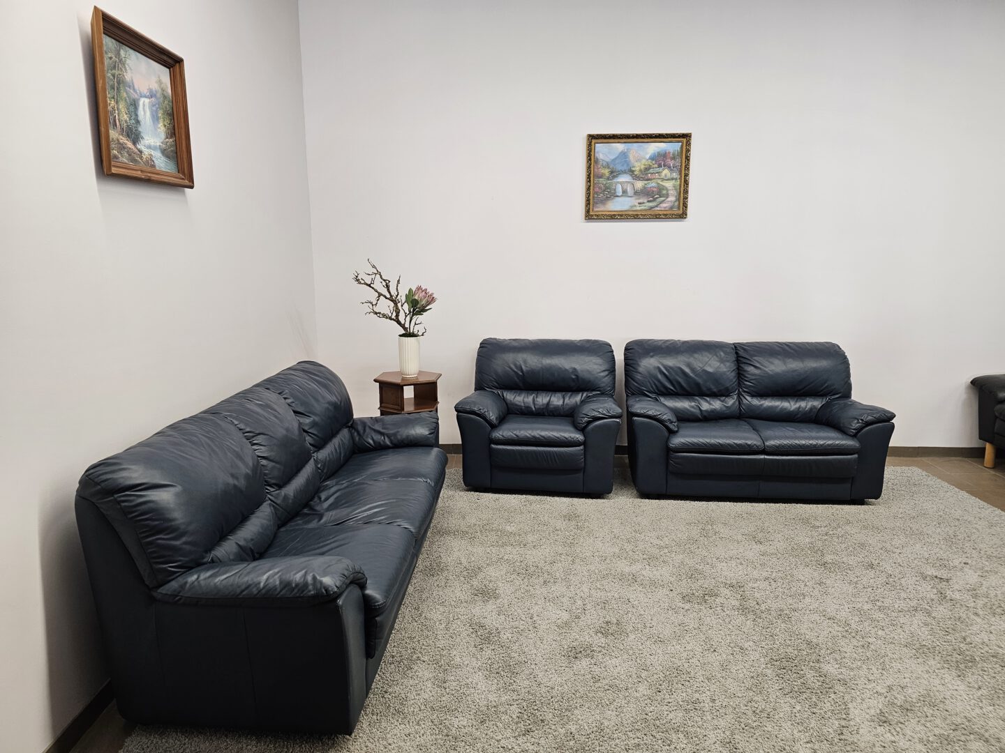 Natūralios odos komplektas