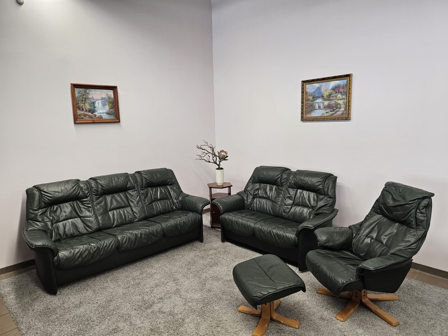 Natūralios Odos Komplektas