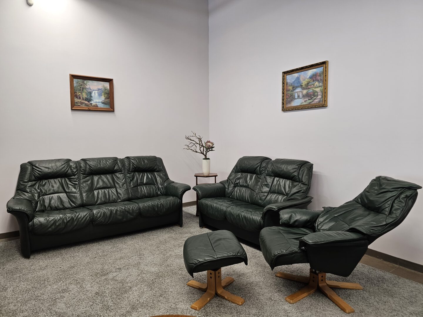 Natūralios Odos Komplektas