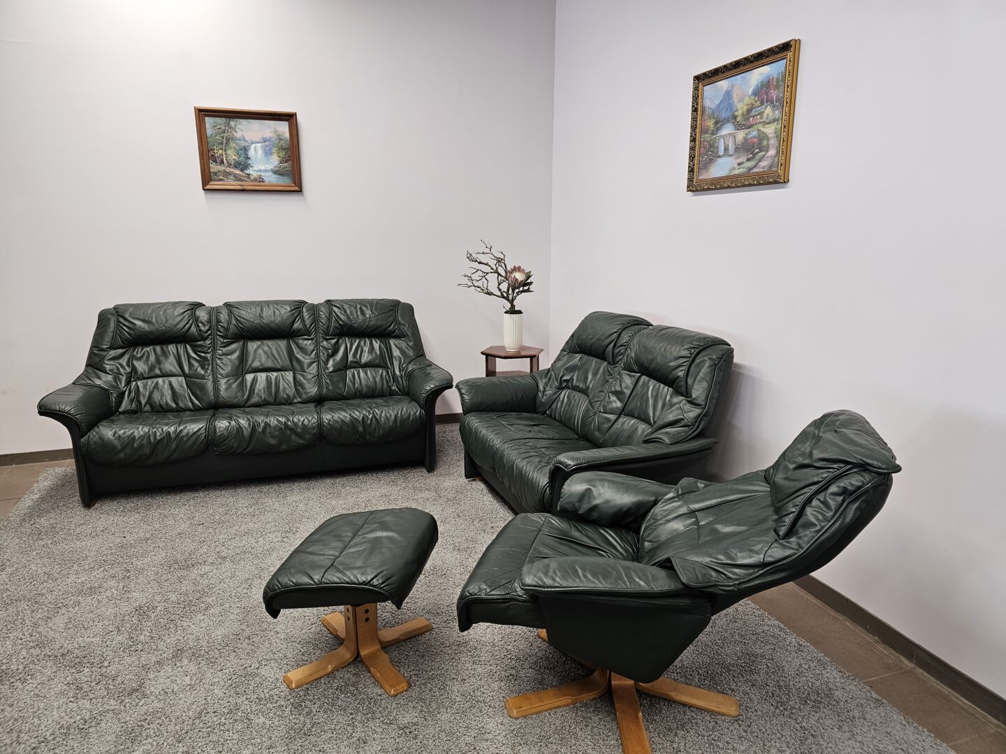 Natūralios Odos Komplektas