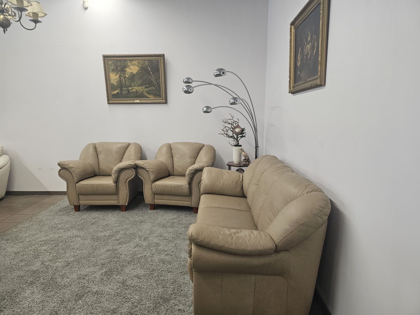 Natūralios odos komplektas