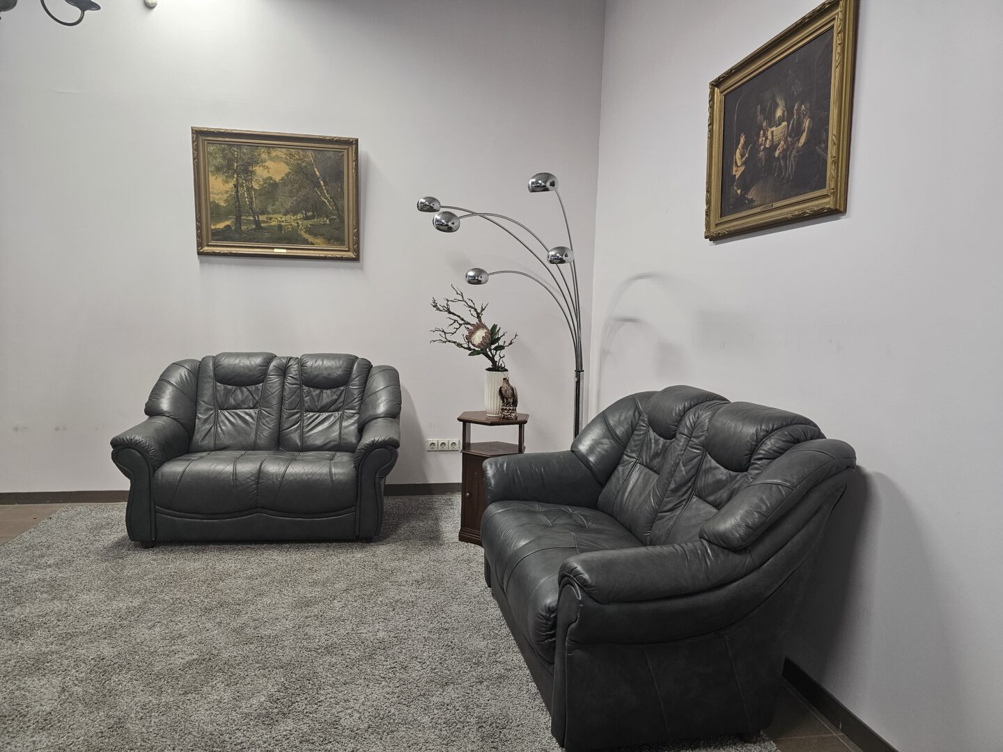 Natūralios odos komplektas