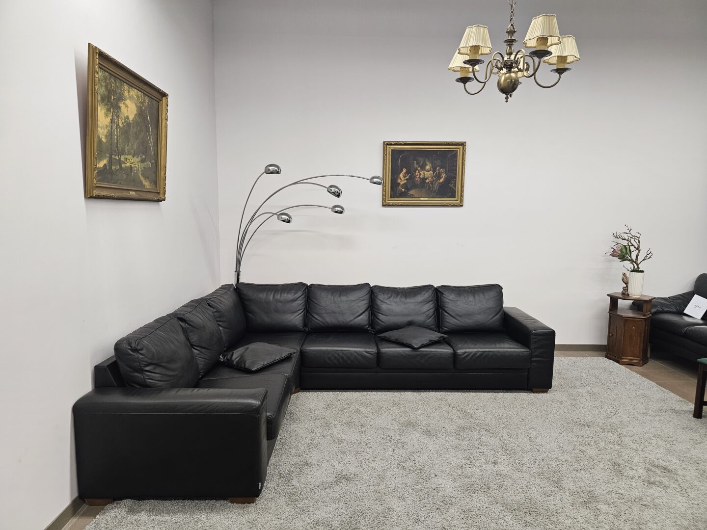 Natūralios odos kampas