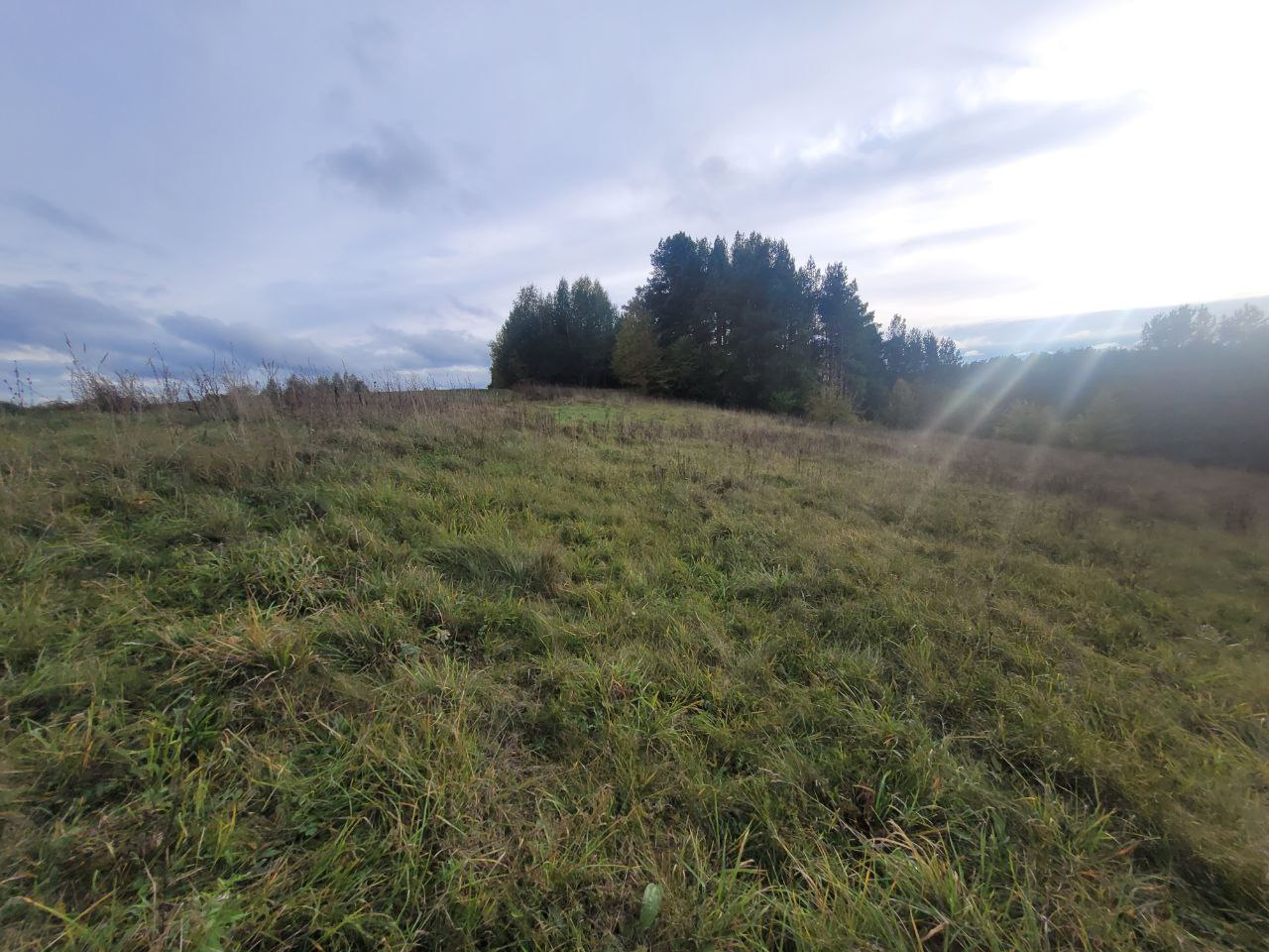 sklypas Varenos r. Prie Sidariškių ežero