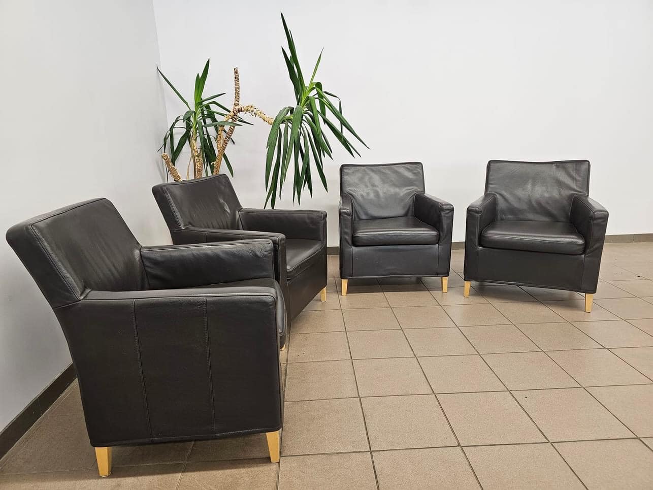 Natūralios odos foteliukai