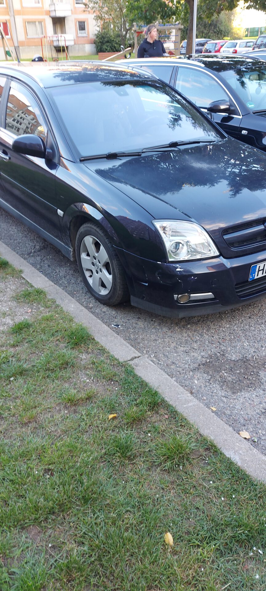 Opel signum 2003