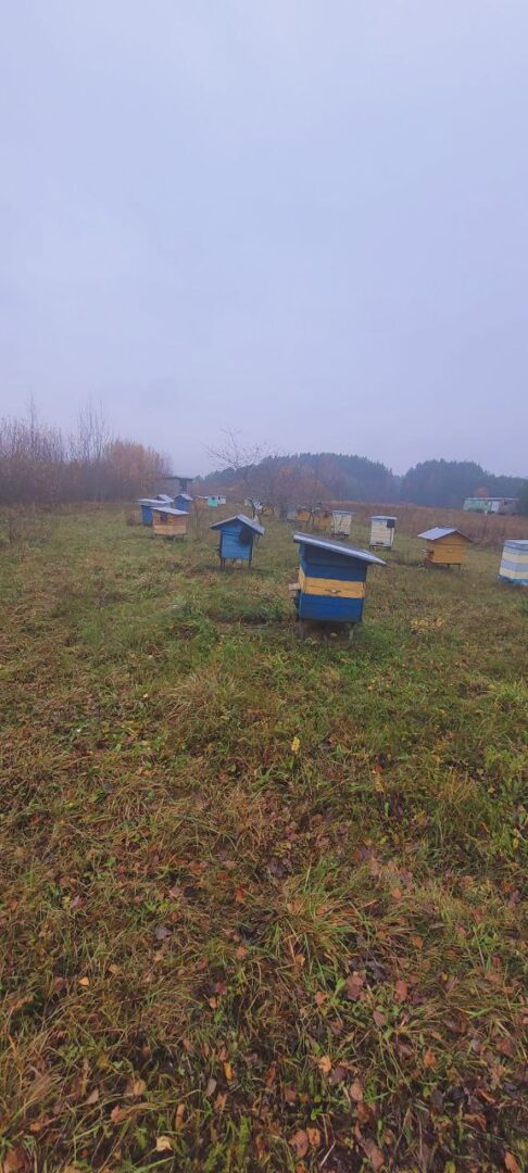 Parduodu 22 ha sklypą