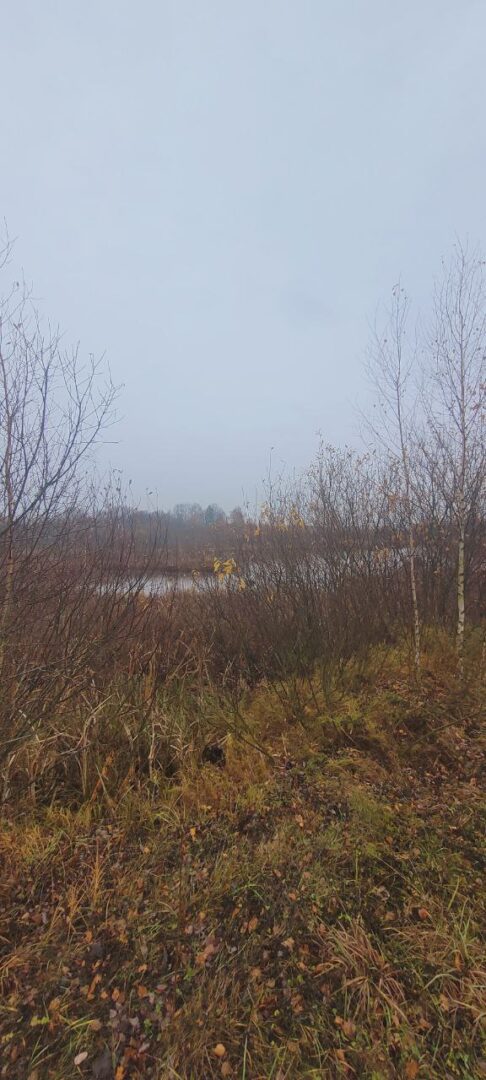 Parduodu 22 ha sklypą