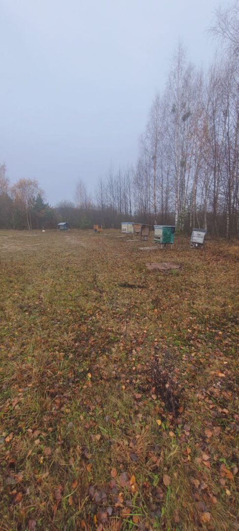 Parduodu 22 ha sklypą