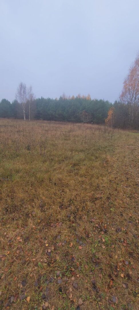 Parduodu 22 ha sklypą