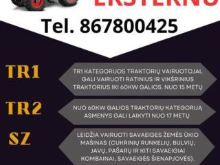 377442086_242583208772264_6192629046034699755_n