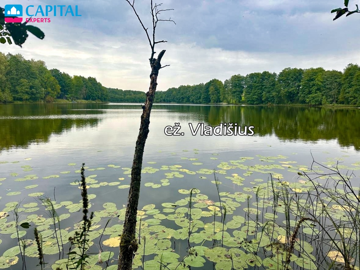Parduodama 44,47 a sena sodyba prie Vladišiaus ež., Trakų raj.