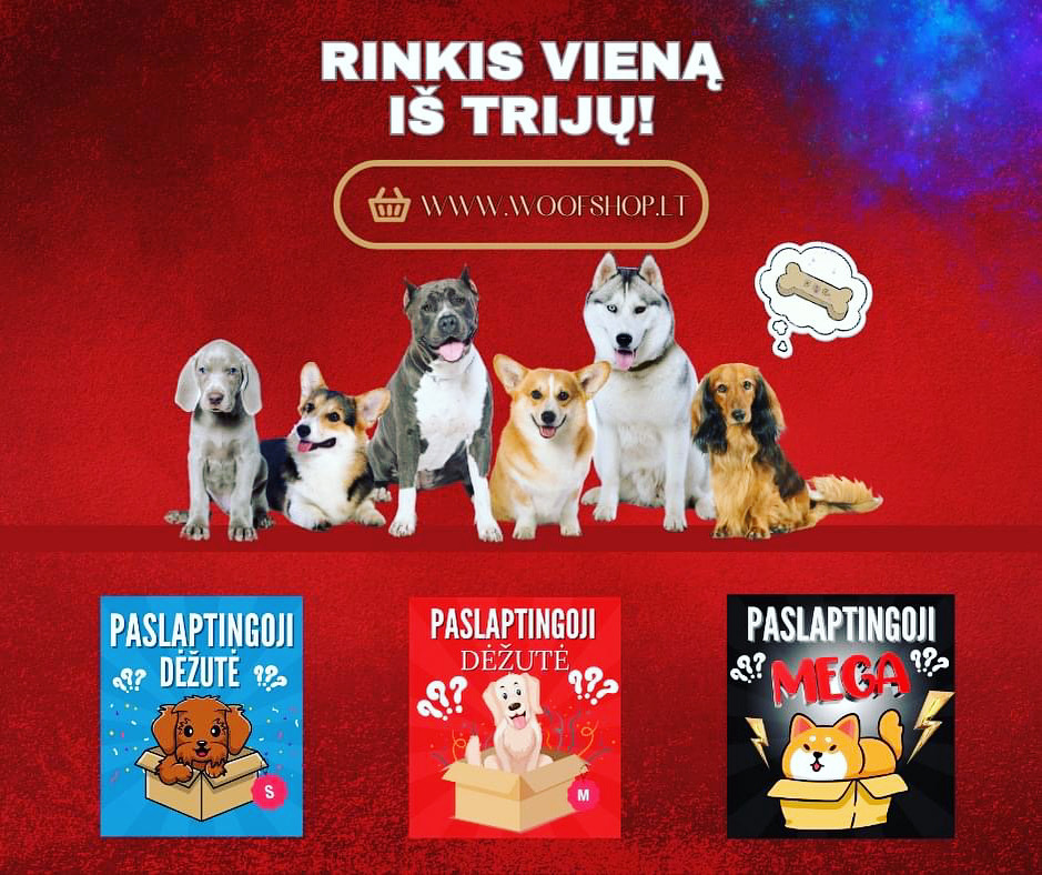 PASLAPTINGOSIOS DĖŽUTĖS