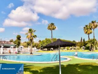 FB_IMG_1699525627286