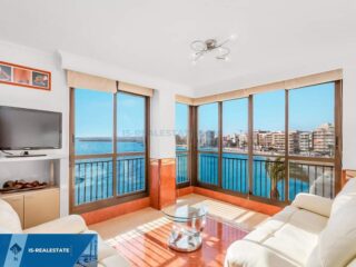 FB_IMG_1701014996621