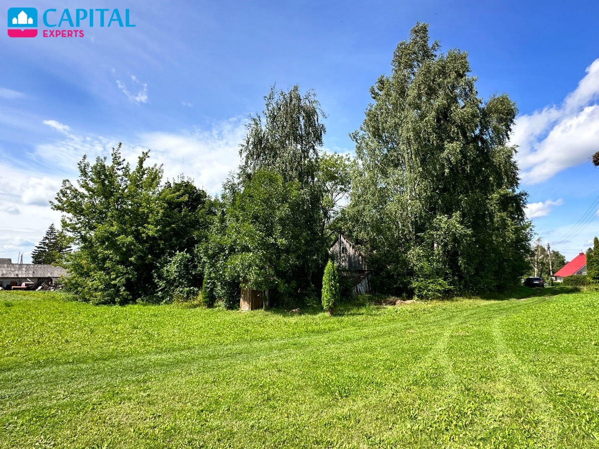 Parduodama sena sodyba su 54 a sklypu Rokiškio raj., Kalviuose