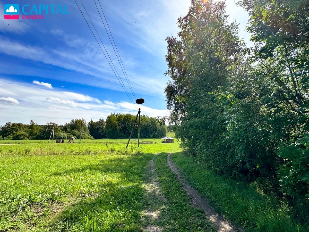 Parduodama sena sodyba su 54 a sklypu Rokiškio raj., Kalviuose