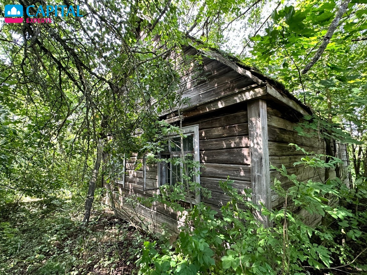 Parduodama sena sodyba su 54 a sklypu Rokiškio raj., Kalviuose