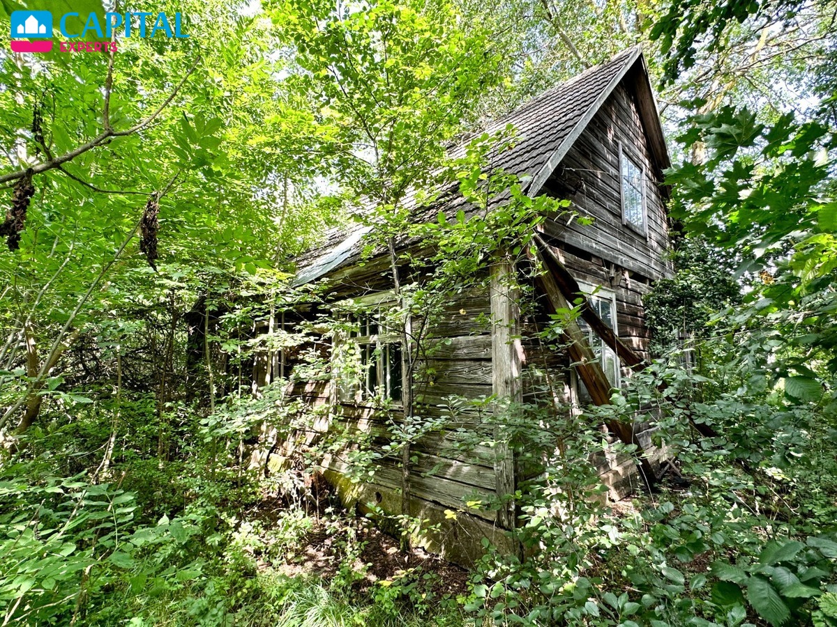 Parduodama sena sodyba su 54 a sklypu Rokiškio raj., Kalviuose