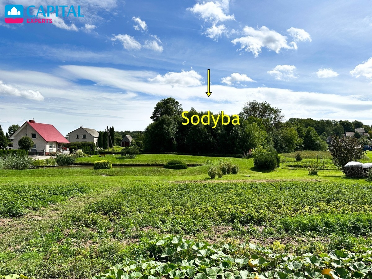 Parduodama sena sodyba su 54 a sklypu Rokiškio raj., Kalviuose