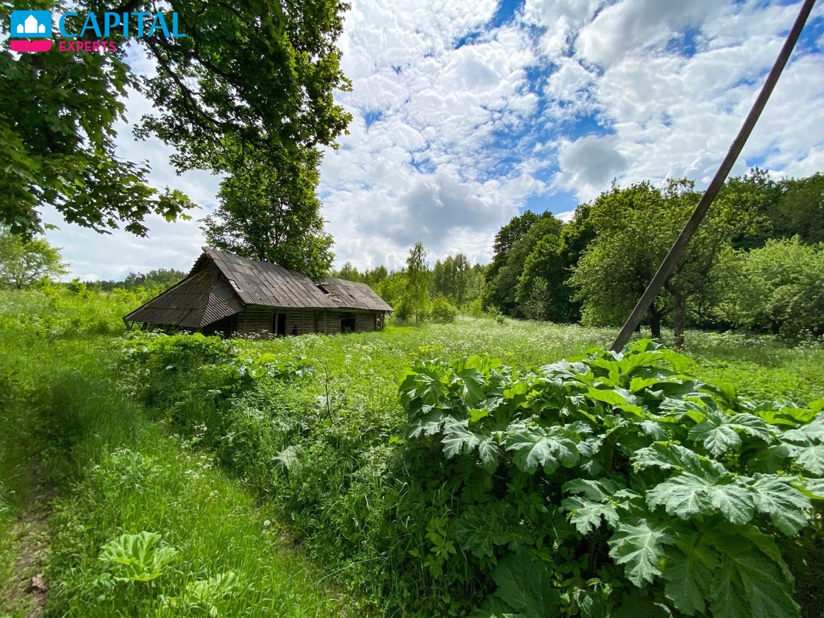 Parduodama 1,72 ha sodyba prie miško Jurgėnų kaime, Ignalinos raj.