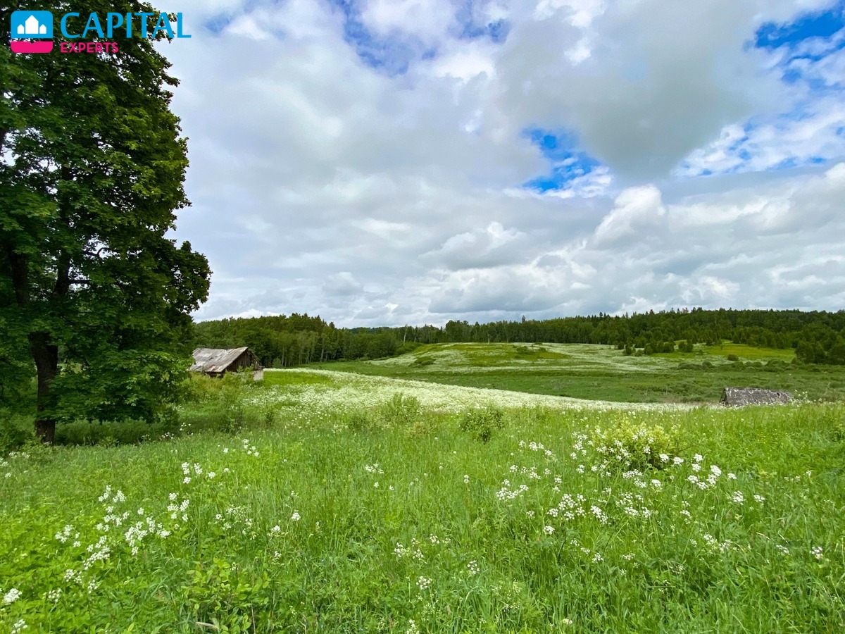 Parduodama 1,72 ha sodyba prie miško Jurgėnų kaime, Ignalinos raj.