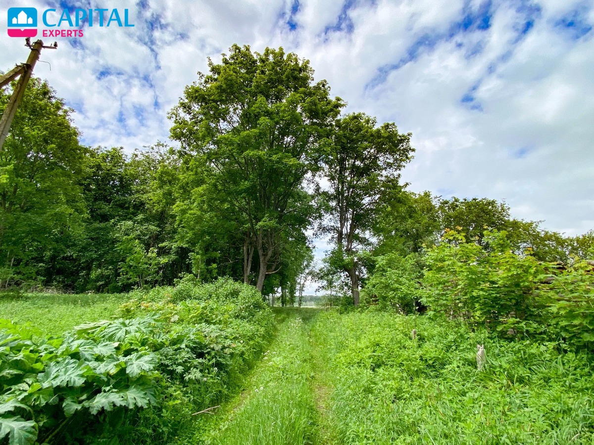 Parduodama 1,72 ha sodyba prie miško Jurgėnų kaime, Ignalinos raj.