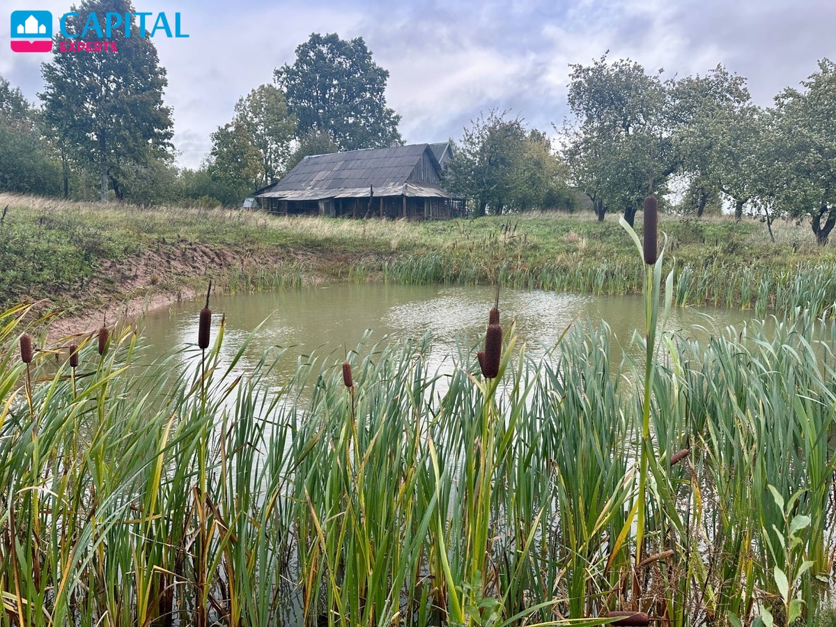 Parduodama jauki sodyba su tvenkiniu ir pirtimi