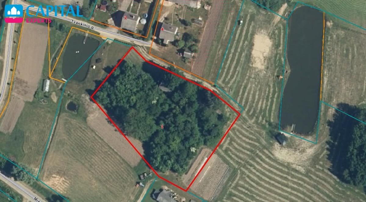 Parduodama sena sodyba su 54 a sklypu Rokiškio raj., Kalviuose