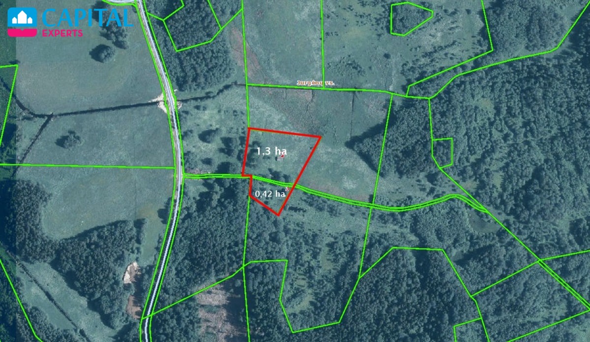 Parduodama 1,72 ha sodyba prie miško Jurgėnų kaime, Ignalinos raj.