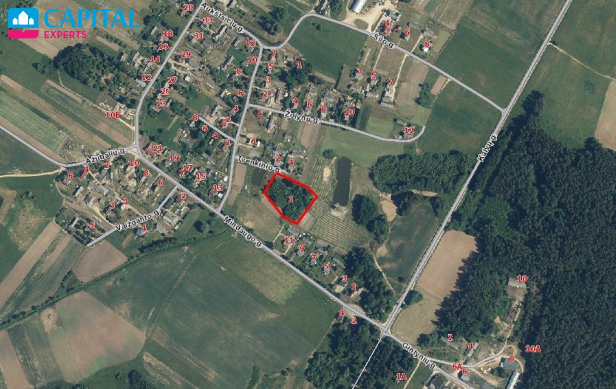 Parduodama sena sodyba su 54 a sklypu Rokiškio raj., Kalviuose