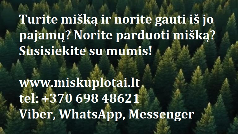 Brangiai perkame mišką visoje lietuvoje