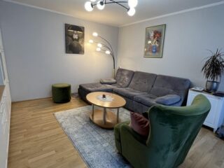 klaipeda-vingis-i-simonaitytes-g-1