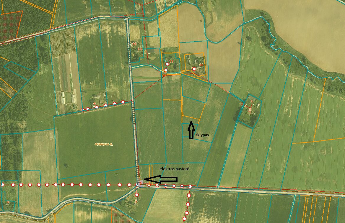 Žemės sklypas Kauno rajone, Grabavos kaime.