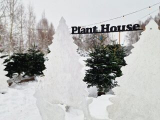 IMG-5c3caa09e0cb7e7ab6fad4c87398df03-V