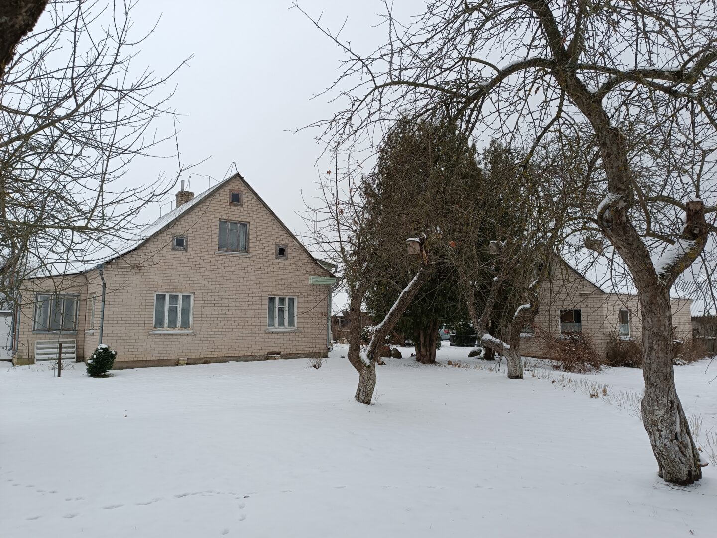 40a sodyba Jurbarko rajone