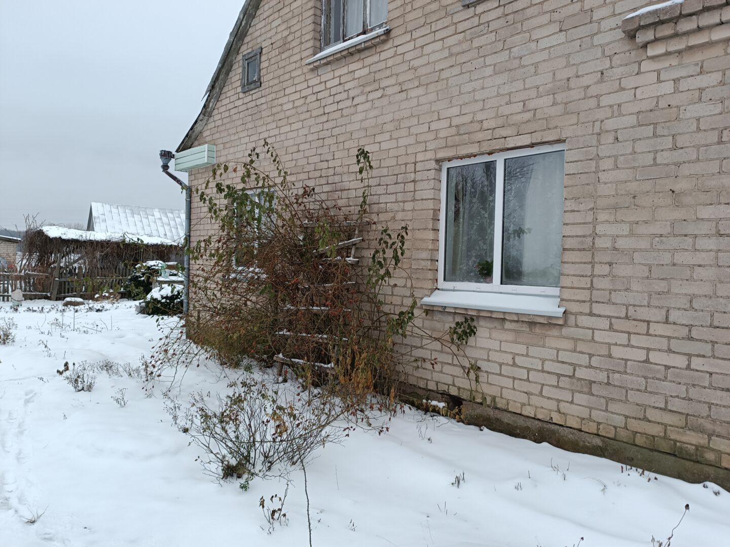 40a sodyba Jurbarko rajone