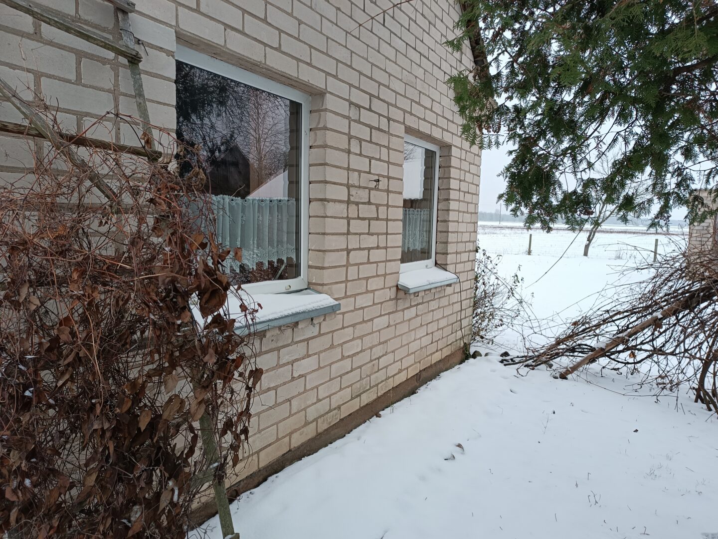 40a sodyba Jurbarko rajone