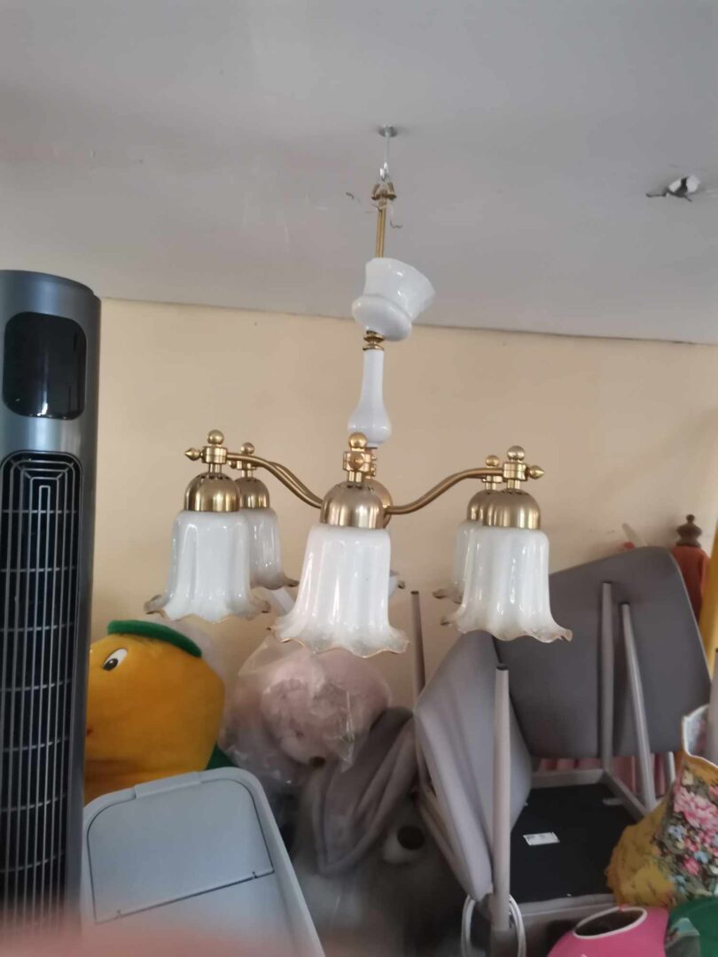 Išskirtinės liustros yvairūs švietuvai lempos iš užsienio pigiau