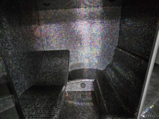 inbound8913906708019485359