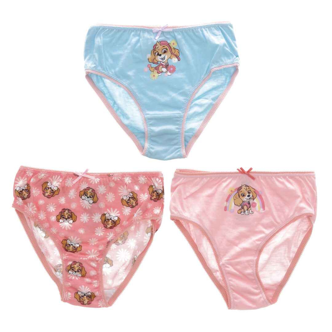 Paw Patrol Skye kelnaičių komplektas