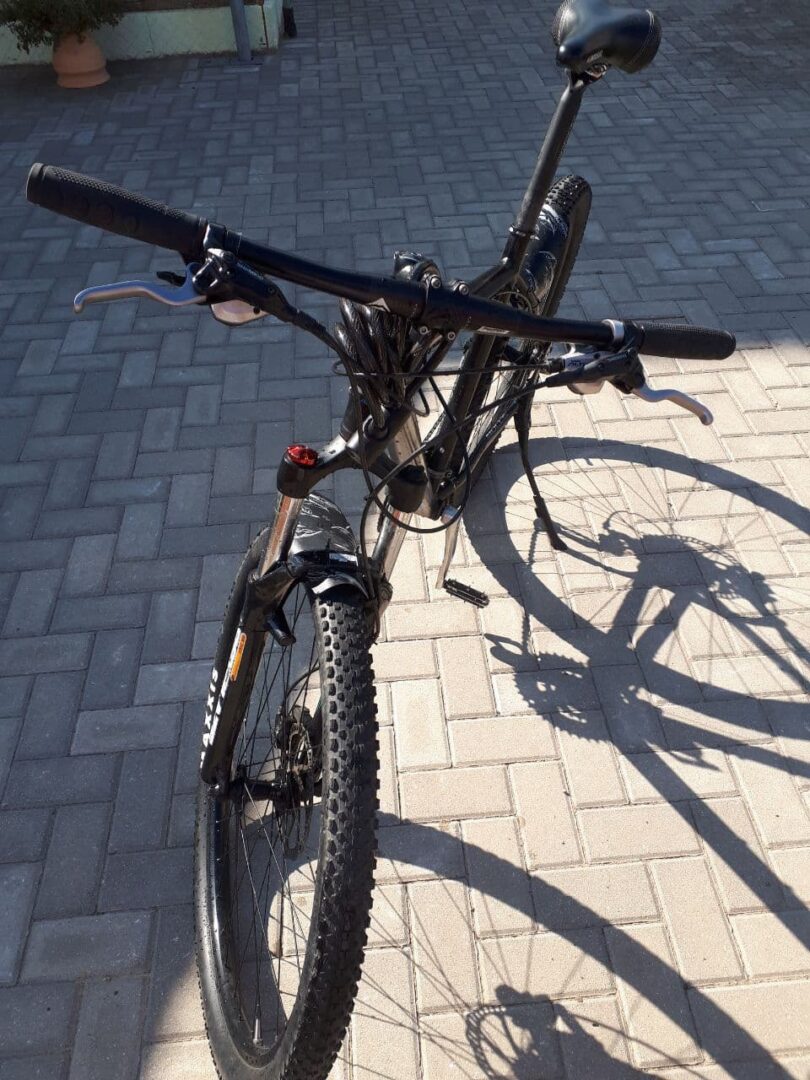 Bulls Copperhead 29′ dviratis