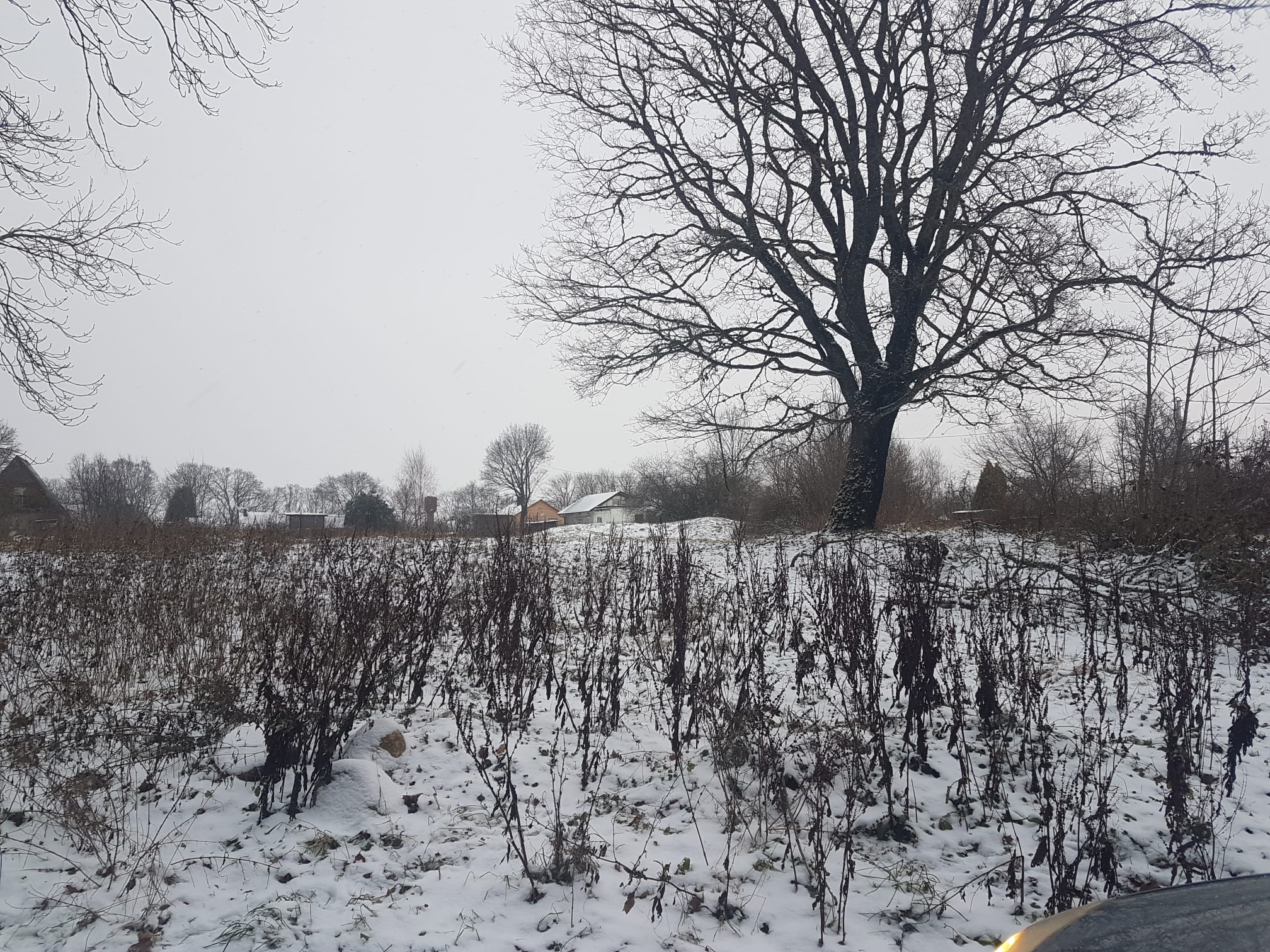 NAMŲ VALDOS SKLYPAS JURBARKO M.