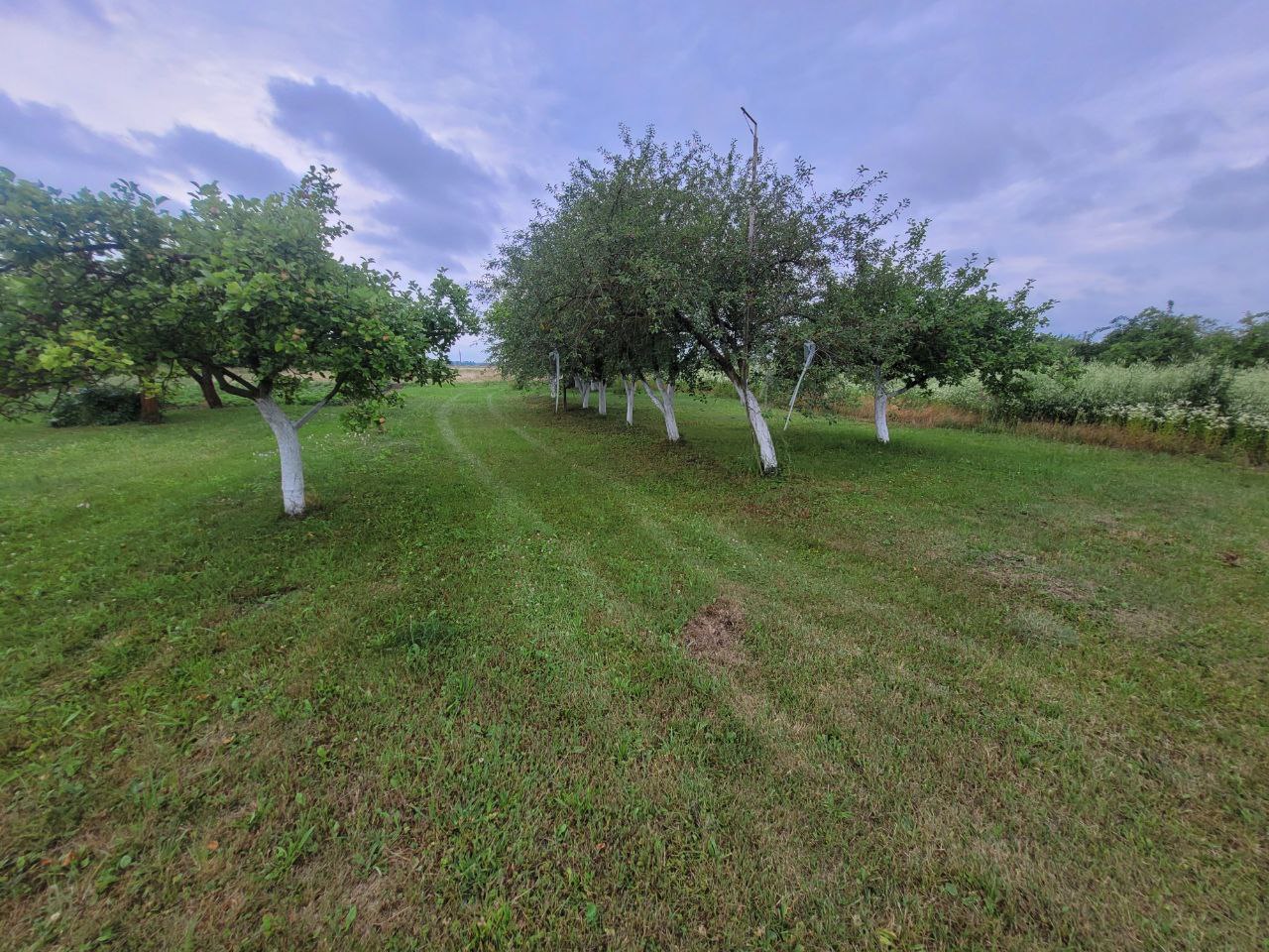 Sodo sklypas Kėdainių r. Ledų k.