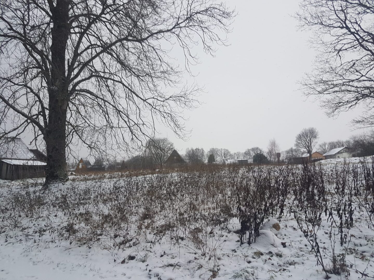 NAMŲ VALDOS SKLYPAS JURBARKO CENTRE