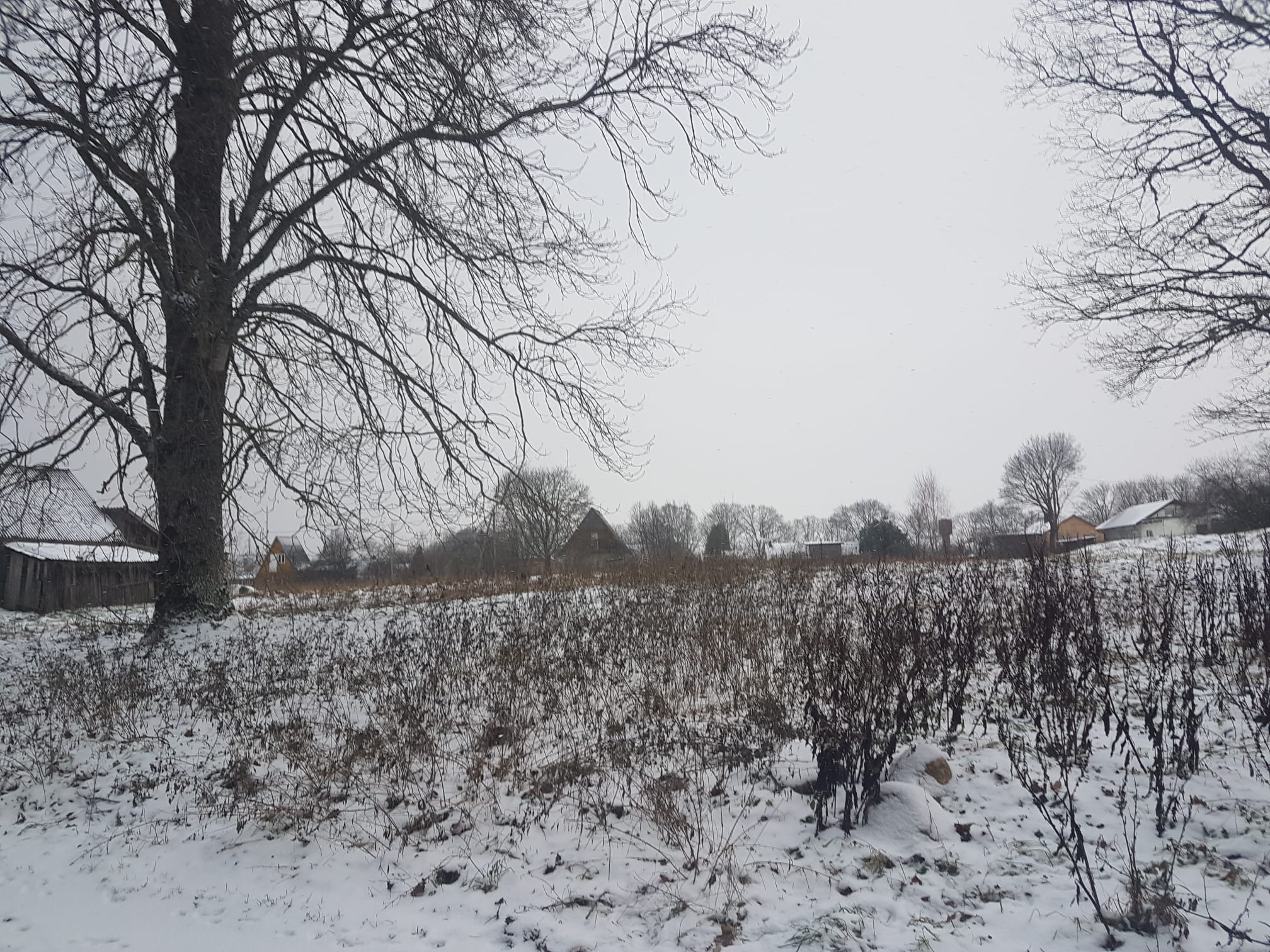 NAMŲ VALDOS SKLYPAS JURBARKO M.