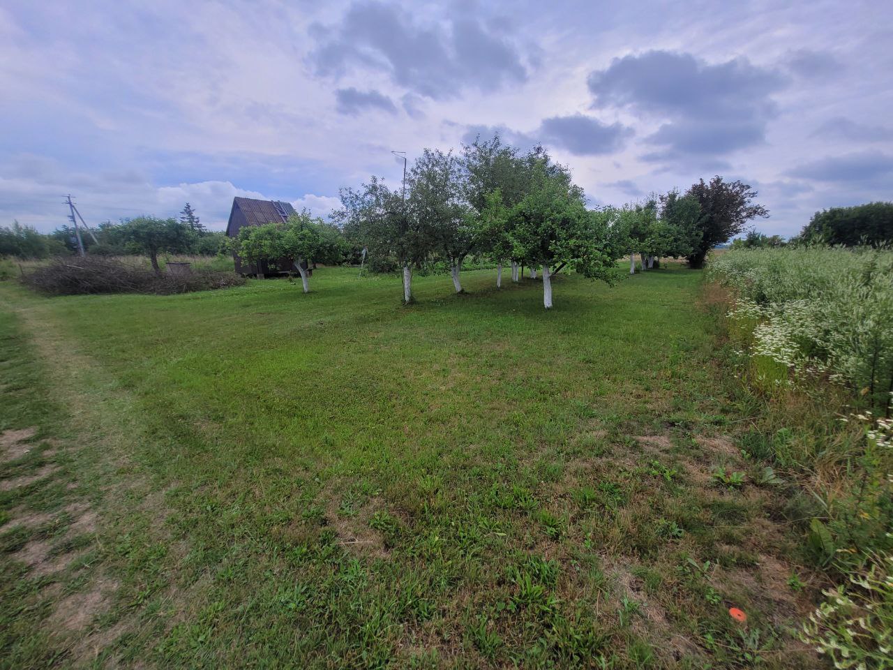 Sodo sklypas Kėdainių r. Ledų k.