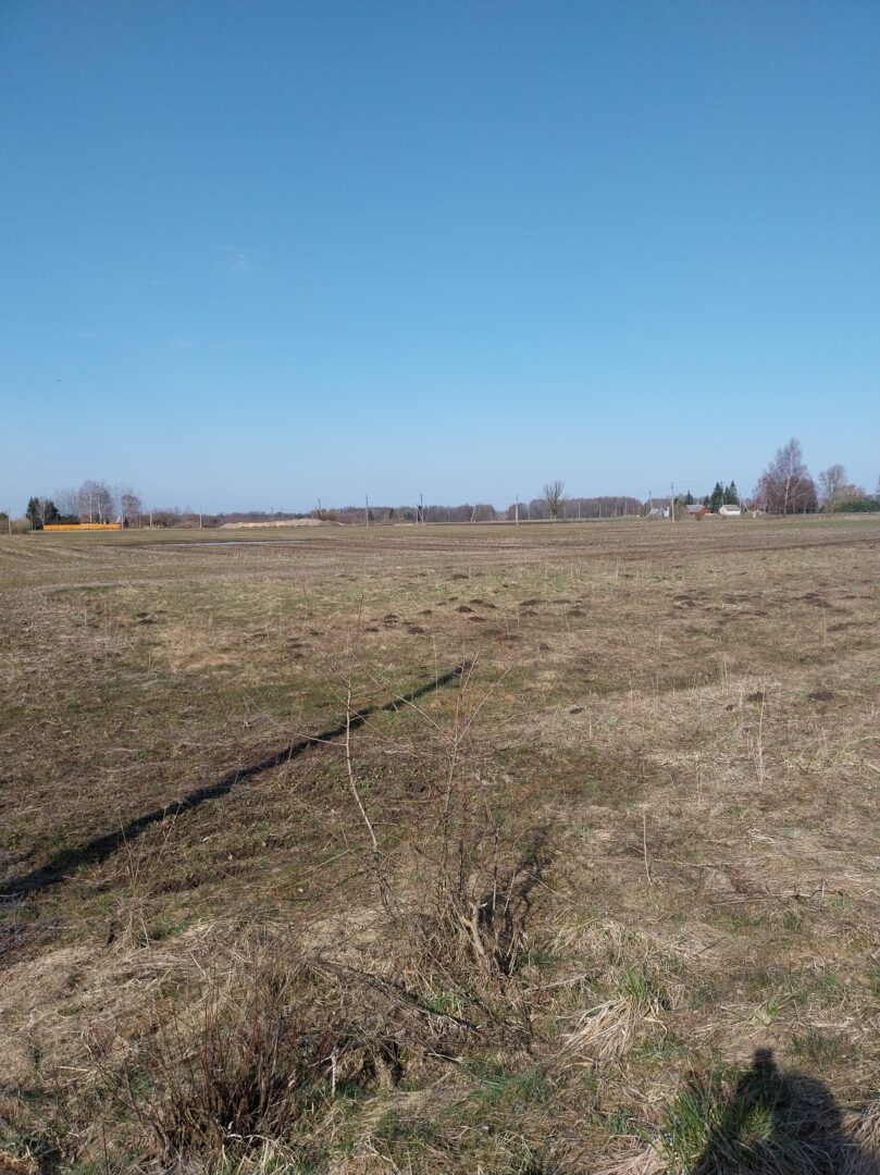 Namų valdos sklypas Agluonėnuose, Klaipėdos raj.