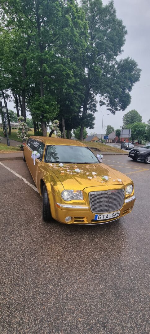 Auksinio Limuzino nuoma